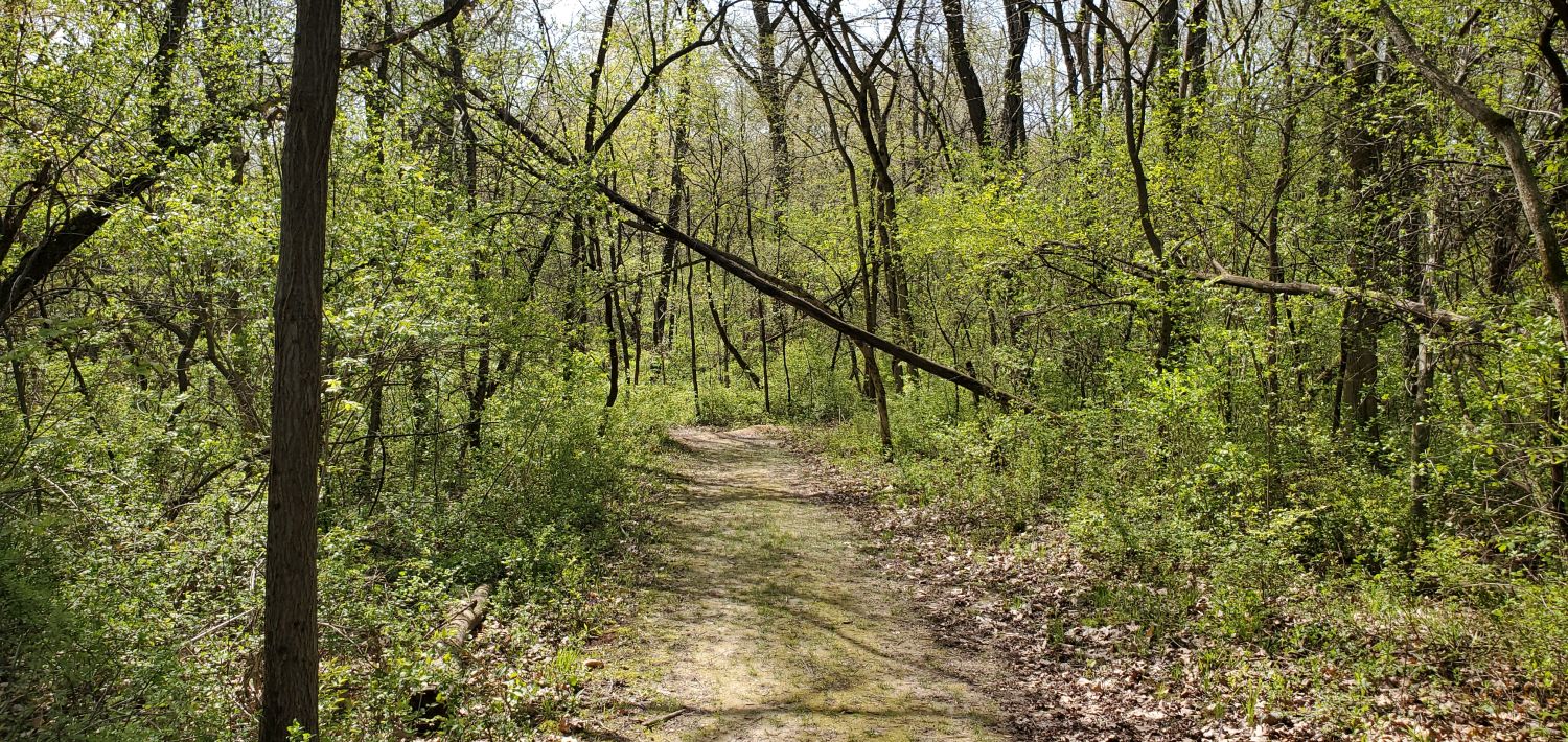 Castle Rock State Park 